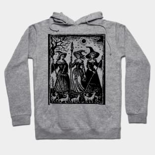 Medieval Witches #1 Hoodie